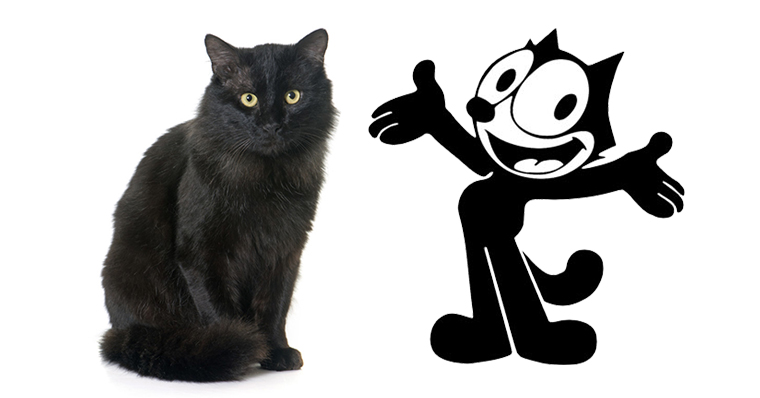 as verdadeiras raças dos gatos dos desenhos