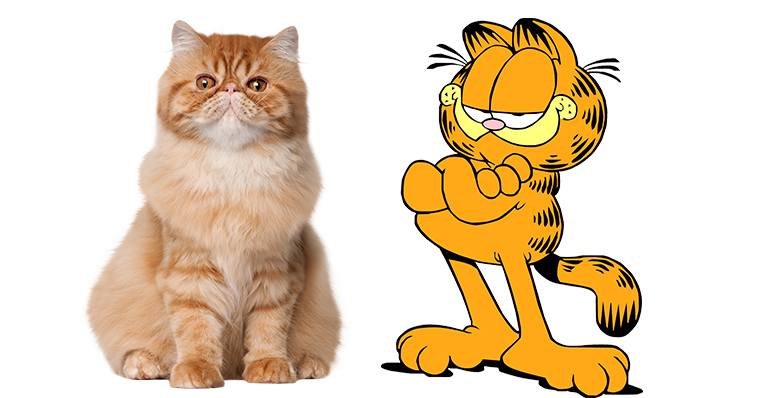 Garfield - Gato Persa
