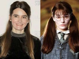adultos que fizeram adolescentes